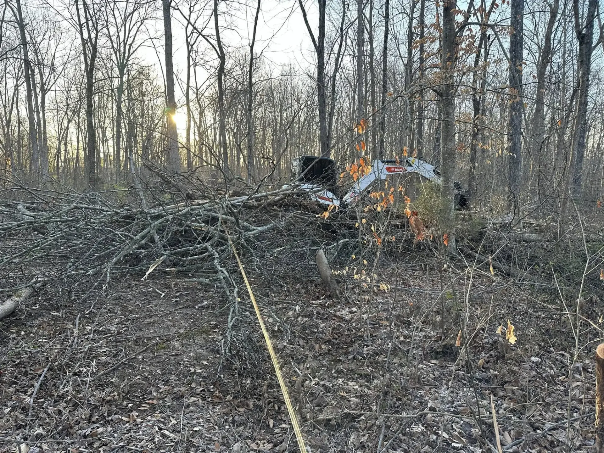Land Clearing